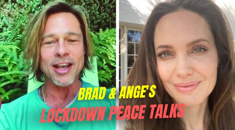 Brad Pitt & Angelina Jolie Lockdown peace talks