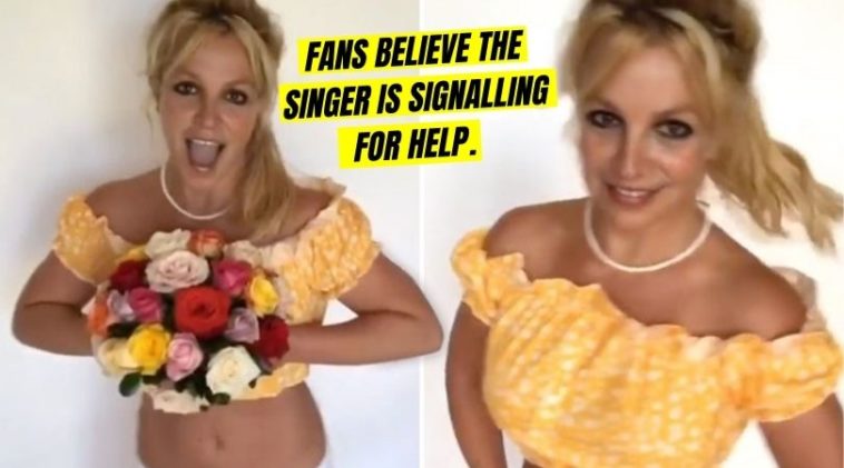 Britney Spears's Coded Cry For Help!