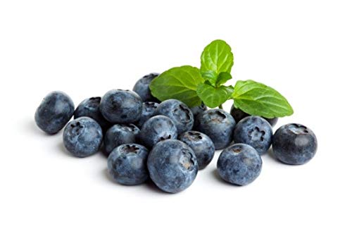 food to boost the immune-Blueberries