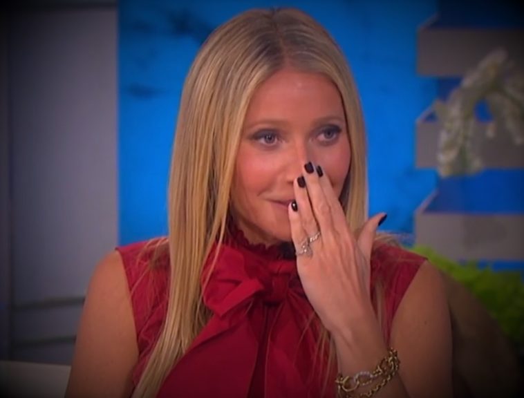 Gwyneth Paltrow Teen Son Reacted to her selling Sex Toys